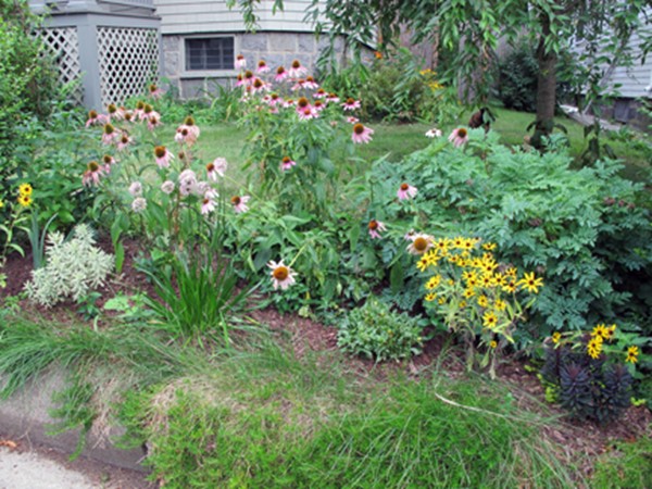 37 Peter Parley Road, Unit 1 Boston, MA 02130 - Photo 12 of 16 Gallery Image 12