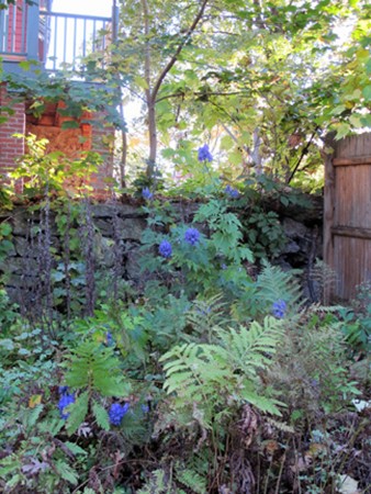 37 Peter Parley Road, Unit 1 Boston, MA 02130 - Photo 10 of 16 Gallery Image 10