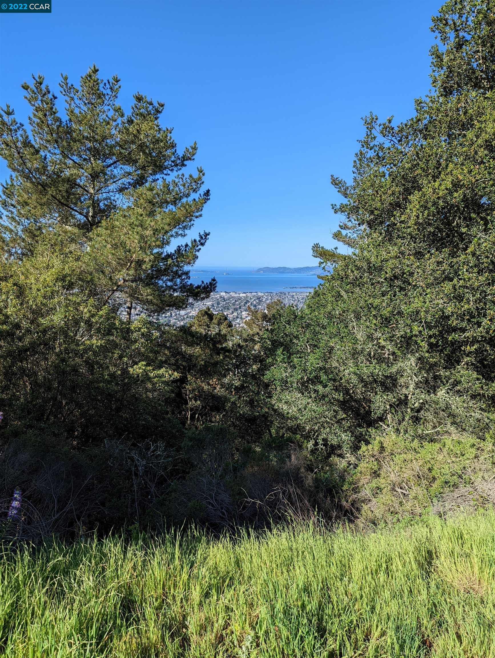 900 Panoramic Way Berkeley, CA 94704 - Photo 1 of 1