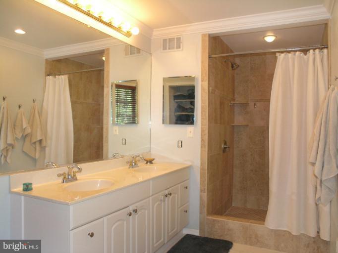 2419 Silver Fox Lane Reston, VA 20191 - Photo 11 of 30 a bathroom with a double vanity sink mirror and shower