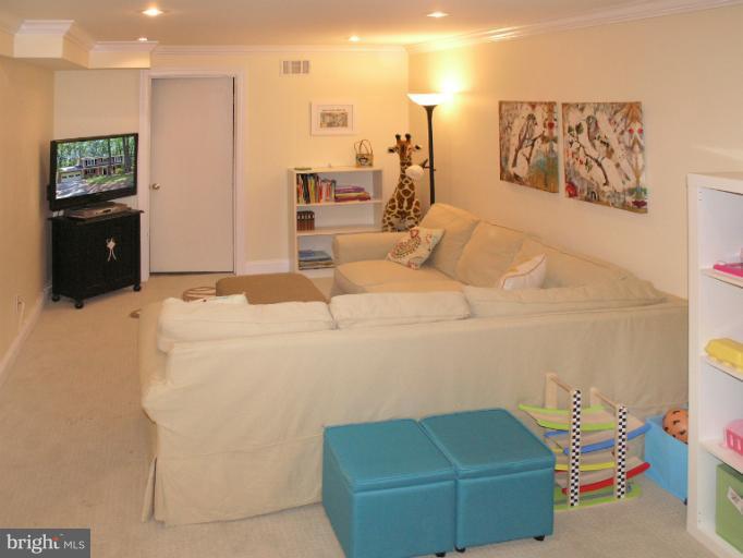 2419 Silver Fox Lane Reston, VA 20191 - Photo 16 of 30 a living room with a couch and a potted plant