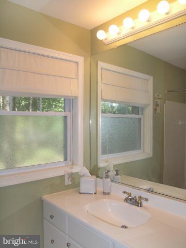 2419 Silver Fox Lane Reston, VA 20191 - Photo 17 of 30 a bathroom with a sink and a mirror