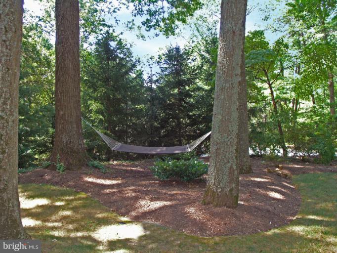 2419 Silver Fox Lane Reston, VA 20191 - Photo 3 of 30 a view of a tree in a yard