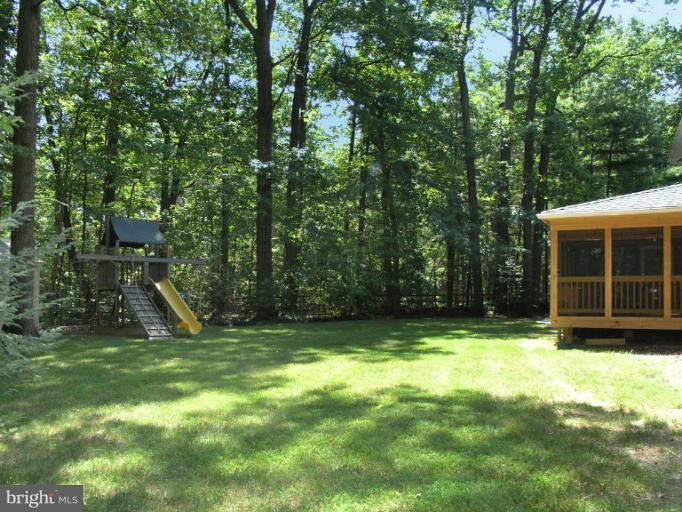 2419 Silver Fox Lane Reston, VA 20191 - Photo 5 of 30 a view of a backyard with a small cabin