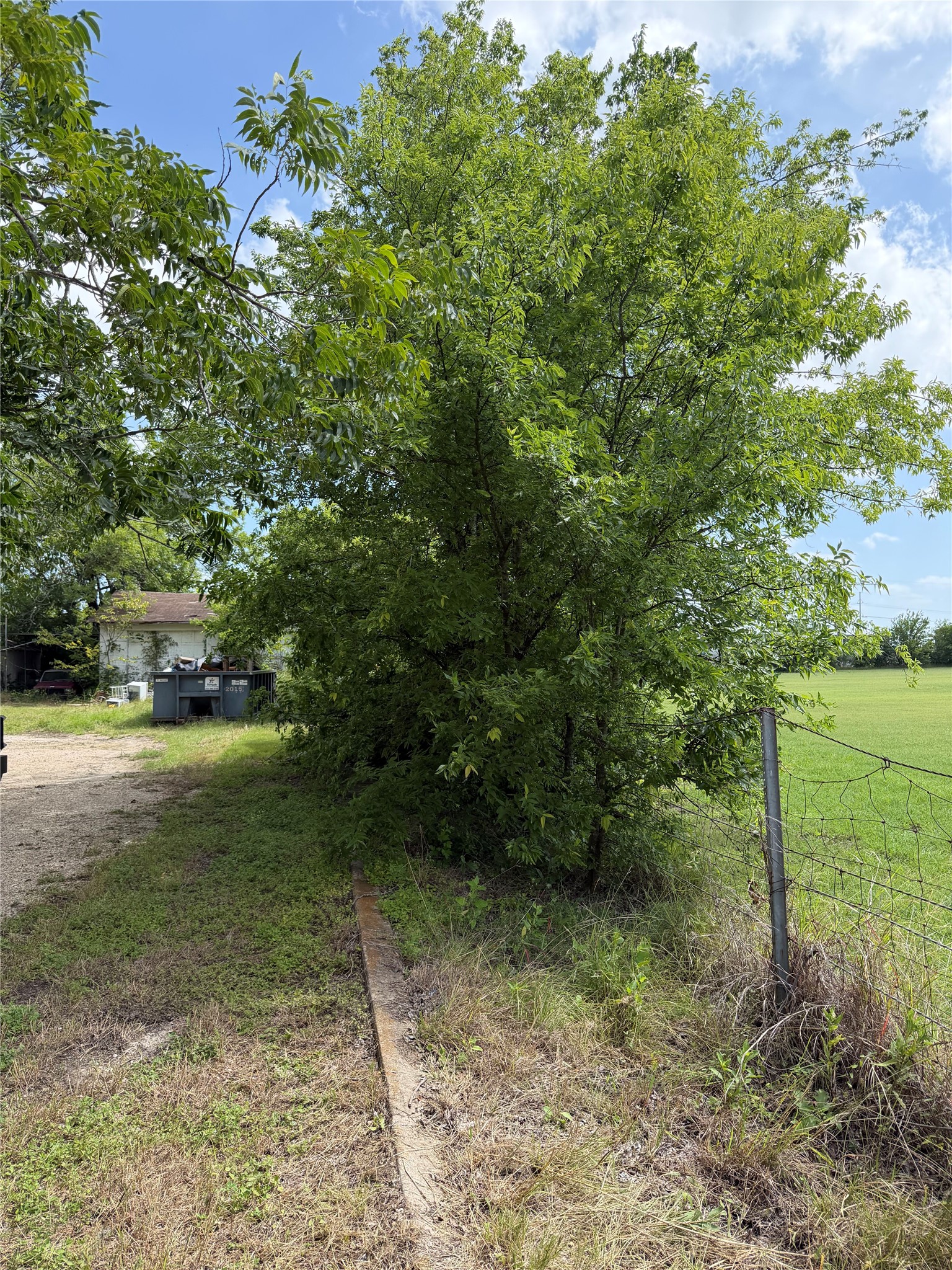 2501 Barnhardt Road Temple, TX 76502 - Photo 24 of 25 Mature trees frame a spacious yard, offering natural beauty and seclusion.