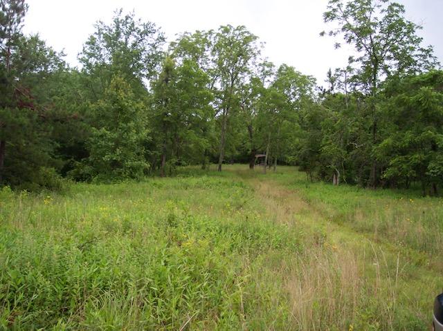 Jim McGill Road Deer Lodge, TN 37726 - Photo 13 of 40 100_1038