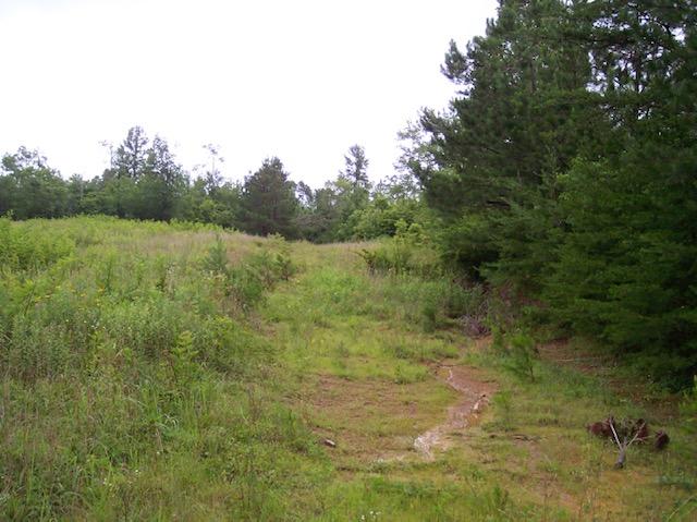 Jim McGill Road Deer Lodge, TN 37726 - Photo 14 of 40 100_1039