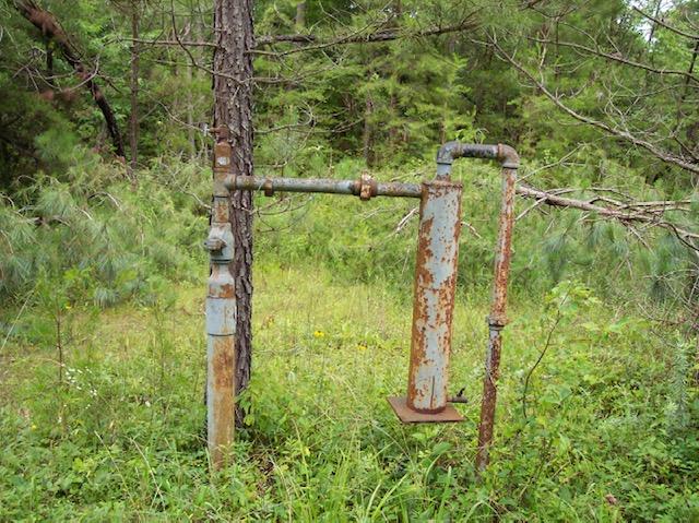 Jim McGill Road Deer Lodge, TN 37726 - Photo 18 of 40 100_1046
