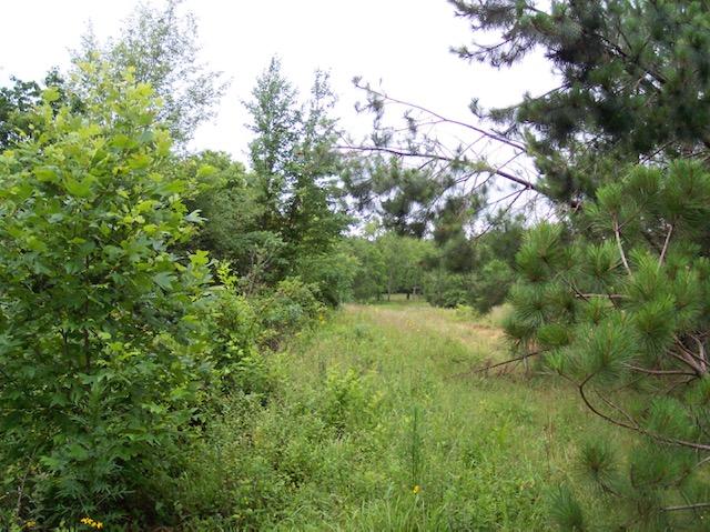 Jim McGill Road Deer Lodge, TN 37726 - Photo 20 of 40 100_1052