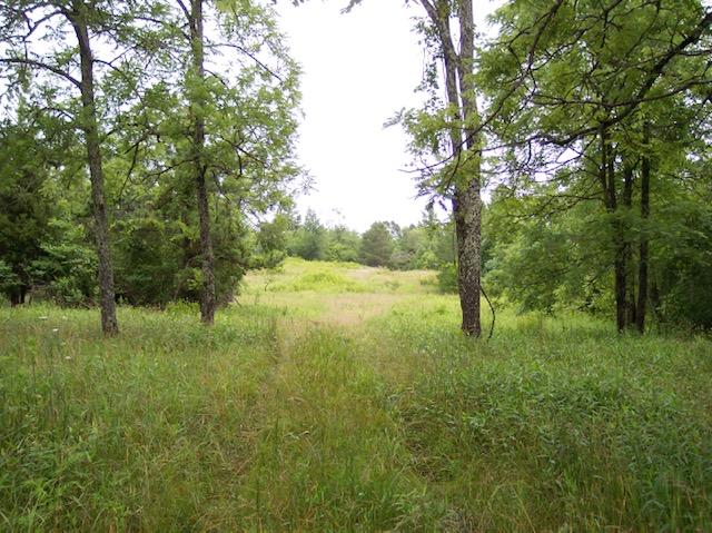 Jim McGill Road Deer Lodge, TN 37726 - Photo 22 of 40 100_1056