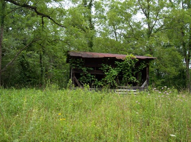 Jim McGill Road Deer Lodge, TN 37726 - Photo 24 of 40 100_1058