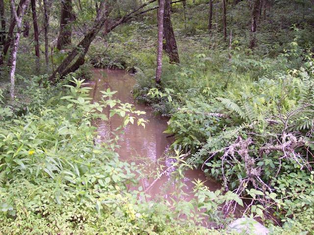 Jim McGill Road Deer Lodge, TN 37726 - Photo 26 of 40 100_1064