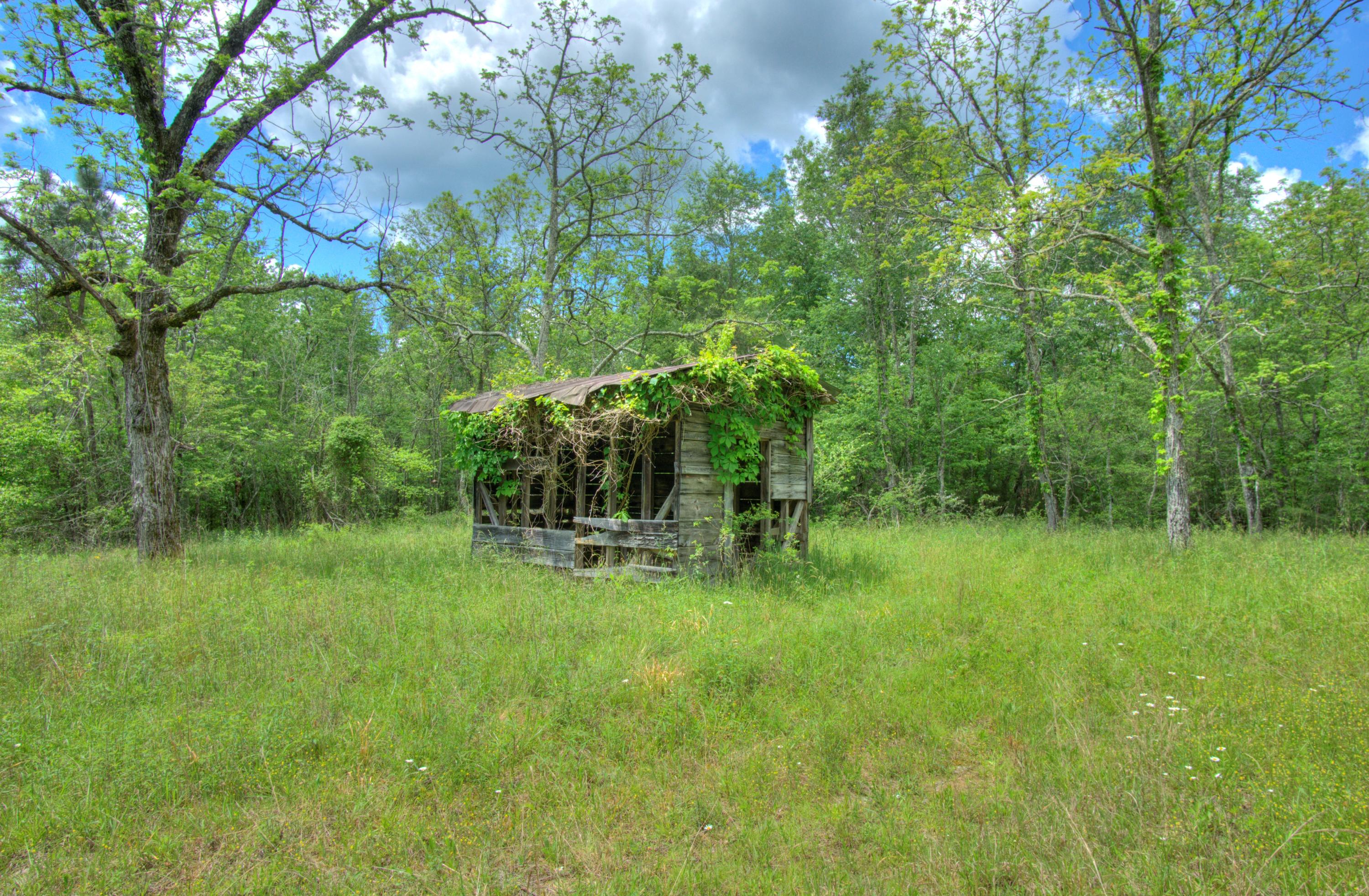 Jim McGill Road Deer Lodge, TN 37726 - Photo 29 of 40 DSC01397_8_9