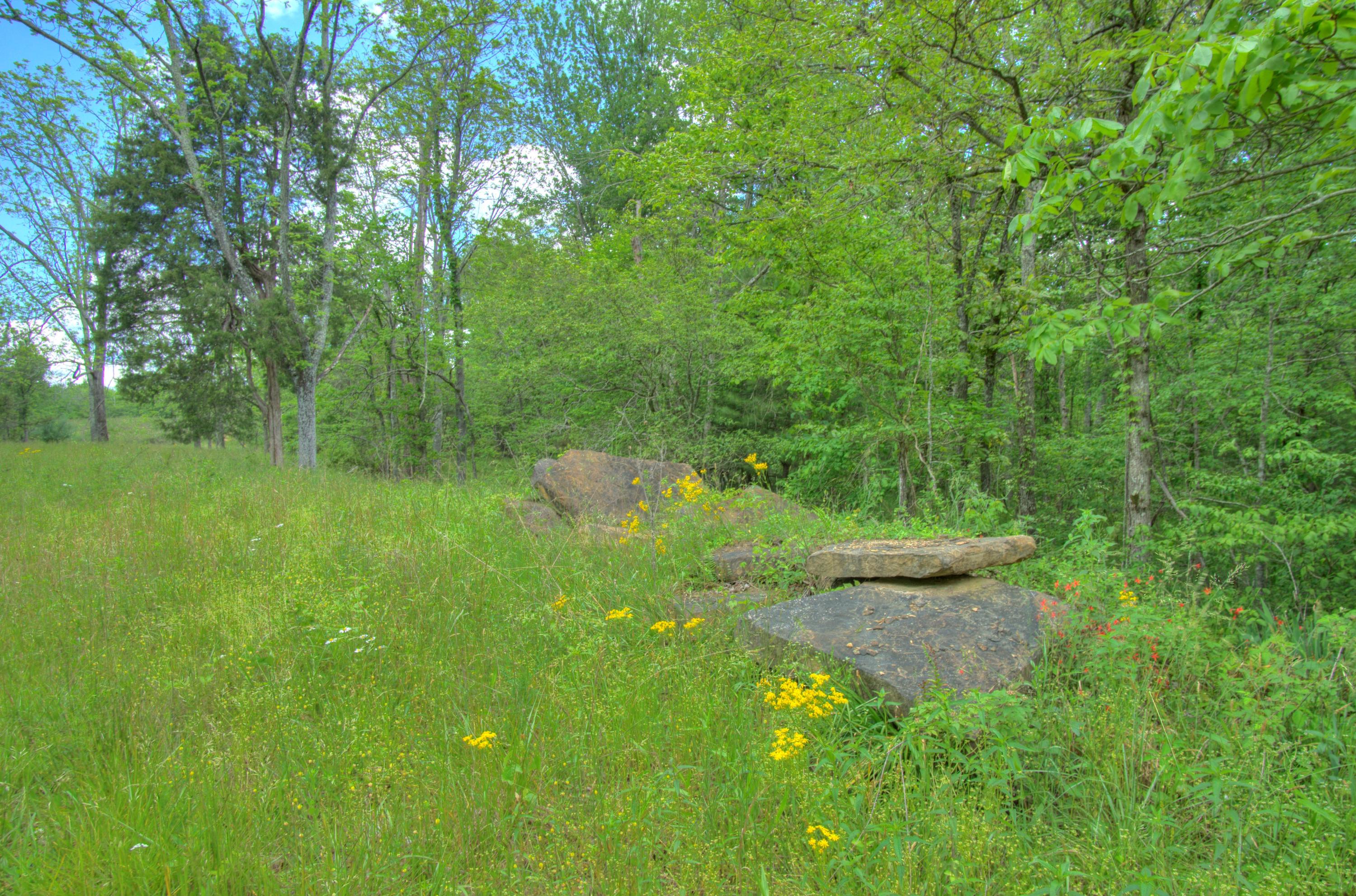 Jim McGill Road Deer Lodge, TN 37726 - Photo 30 of 40 DSC01400_1_2