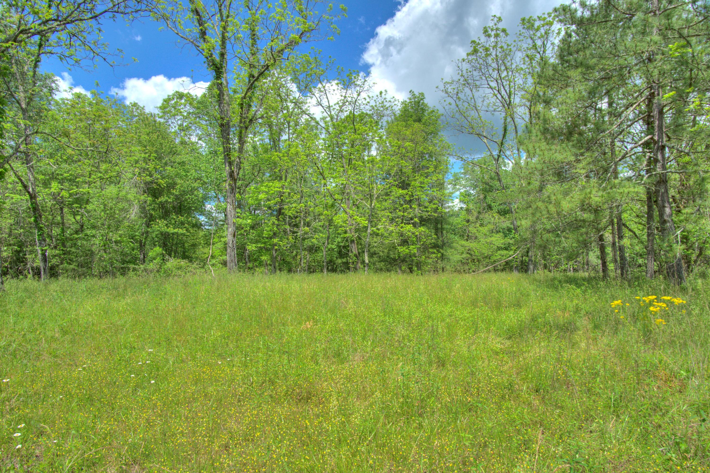 Jim McGill Road Deer Lodge, TN 37726 - Photo 4 of 40 DSC01391_2_3