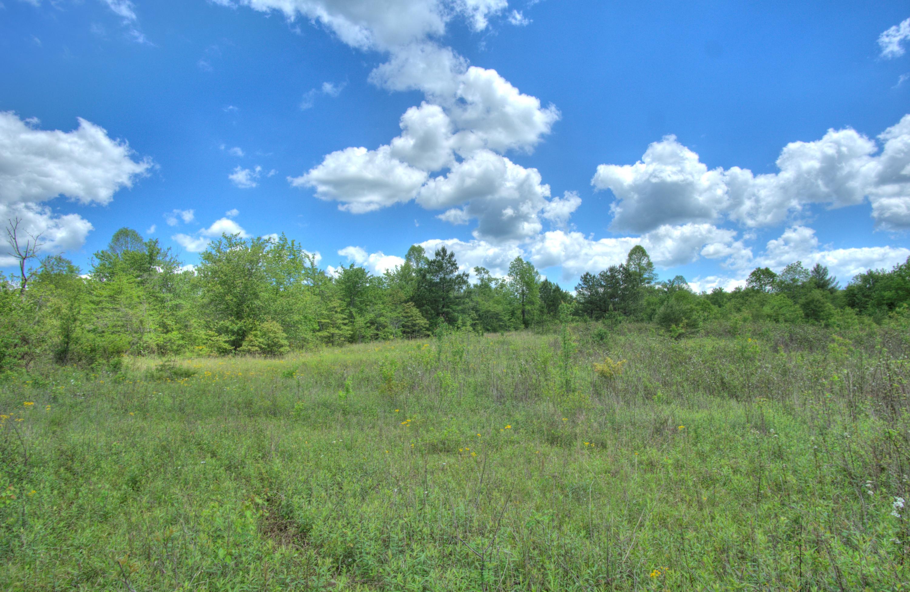 Jim McGill Road Deer Lodge, TN 37726 - Photo 35 of 40 DSC01415_6_7