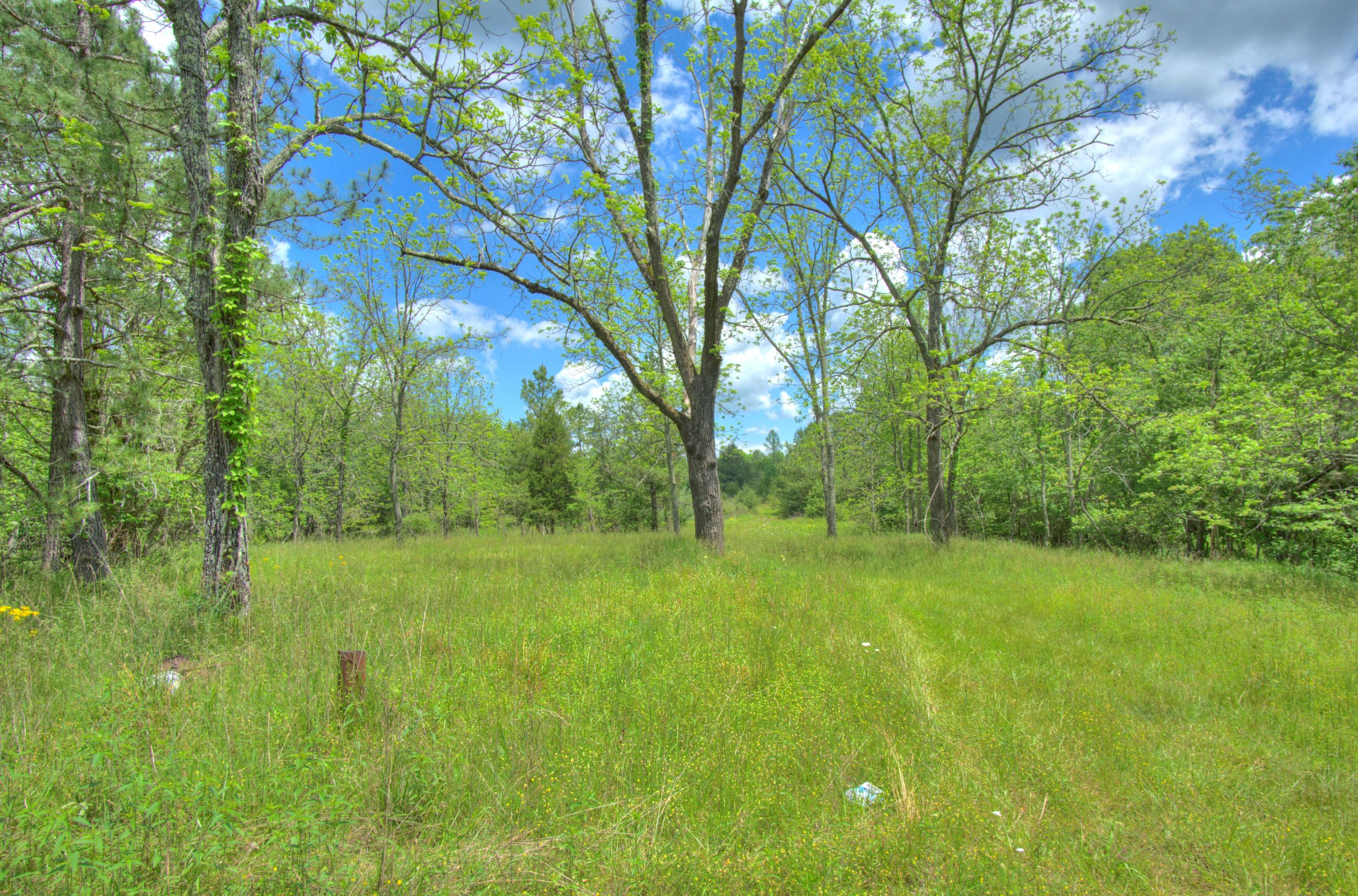 Jim McGill Road Deer Lodge, TN 37726 - Photo 5 of 40 DSC01394_5_6