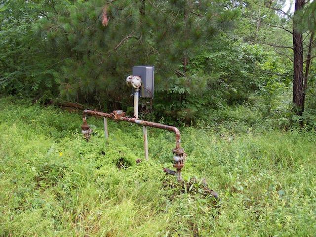 Jim McGill Road Deer Lodge, TN 37726 - Photo 10 of 40 100_1041