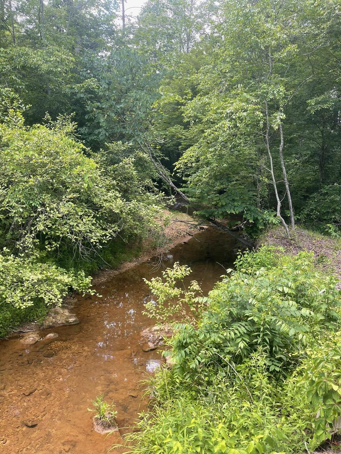 Tract B West Gretna Road Penhook, VA 24137 - Photo 12 of 14 IMG_4730