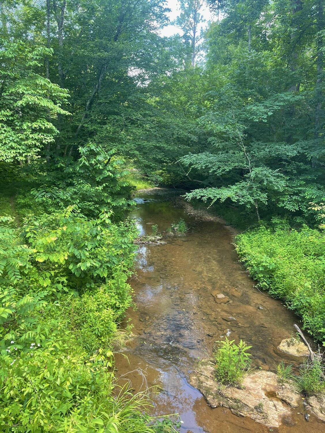 Tract B West Gretna Road Penhook, VA 24137 - Photo 13 of 14 IMG_4731