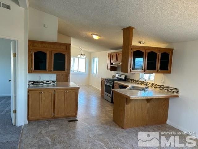 4900 Rain Dance Road Stagecoach, NV 89429 - Photo 5 of 28 Photo 5