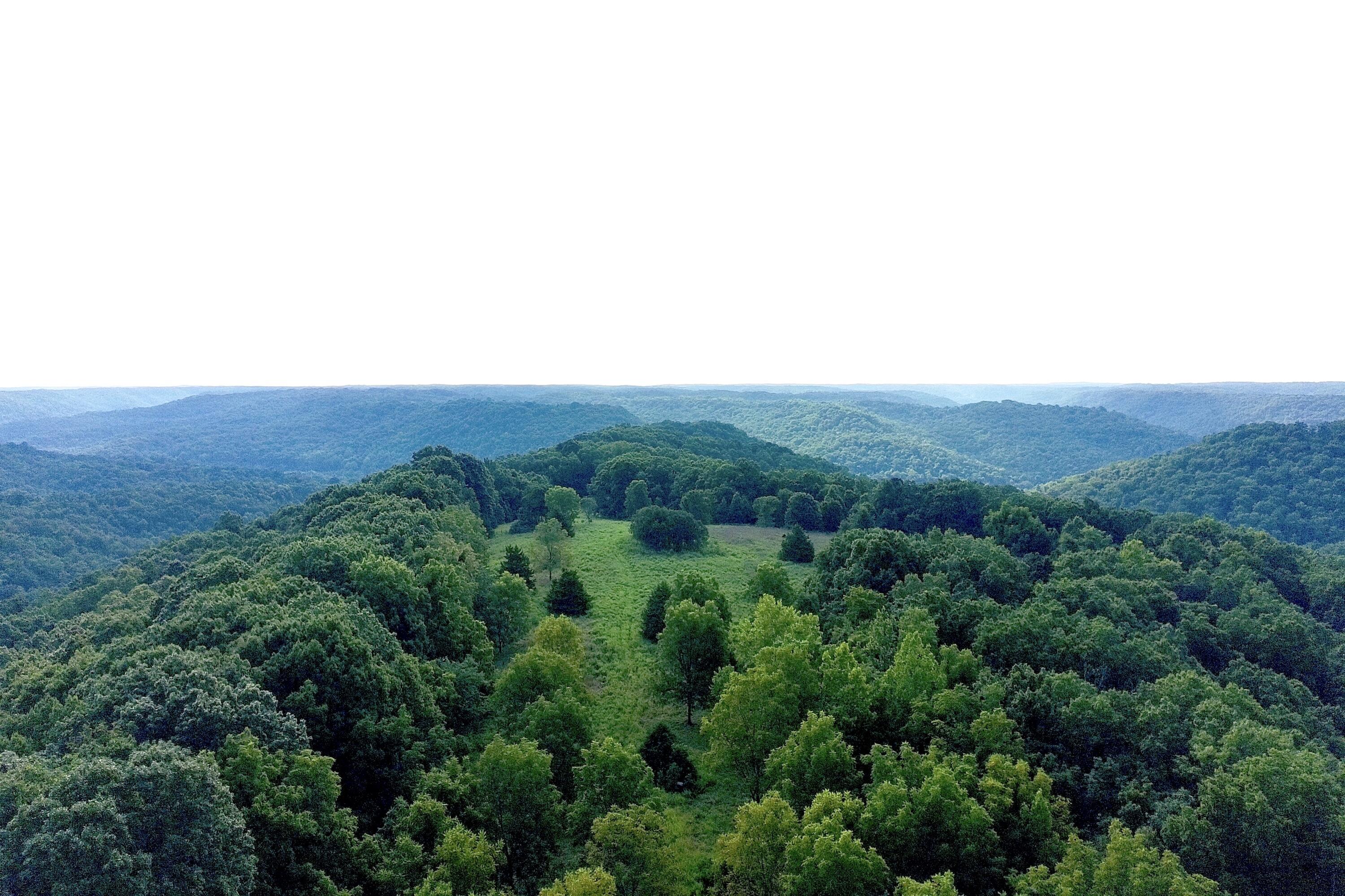 0 Russel Ridge Road Ozark, MO 65721 - Photo 1 of 31 _app_sd_ATOM_001_DCIM_PTSC_0173