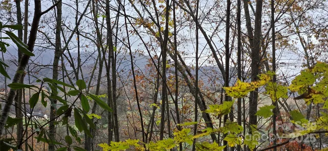 a view of garden with swimming pool
