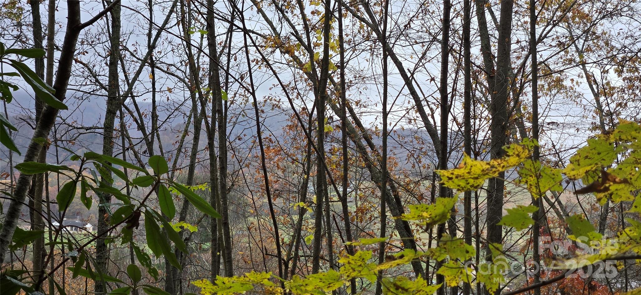 a view of garden with swimming pool