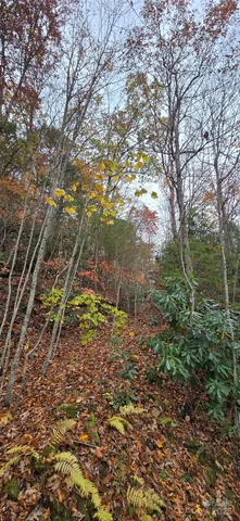 a view of swimming pool with a table and chair and wooden fence