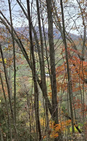 $19,900 | 62 Turkey Hollow Court, Waynesville, NC 28785