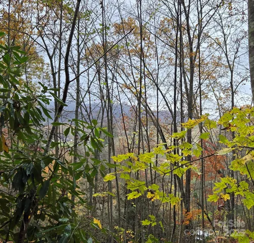 $19,900 | 62 Turkey Hollow Court, Waynesville, NC 28785