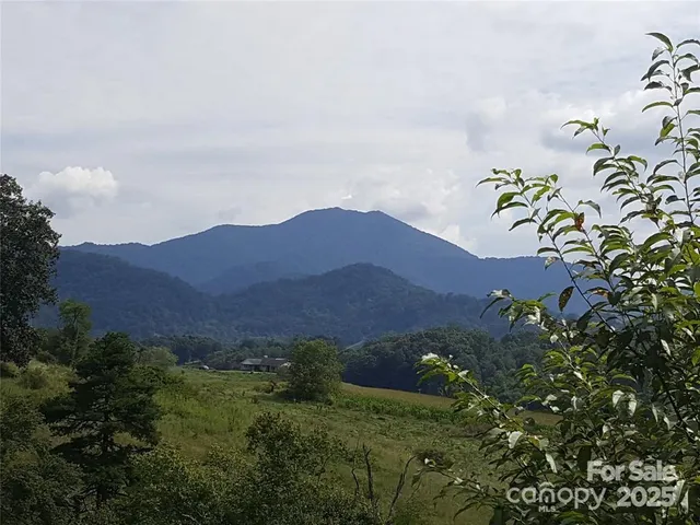 a view of a lush green field with mountains in the background