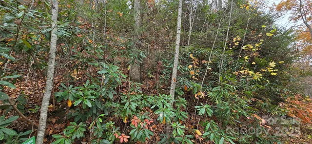 a view of outdoor space with seating area
