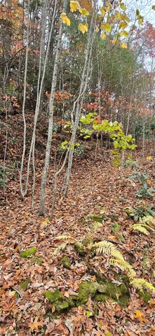 a view of balcony with wooden fence