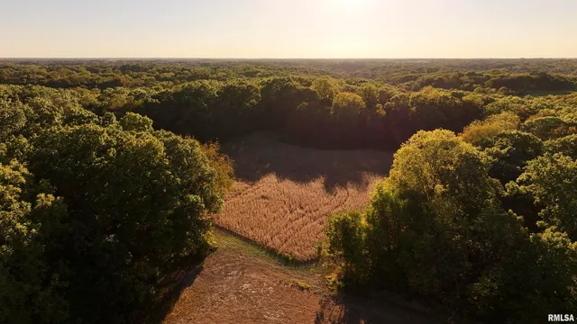 $595,000 | 1402 Knox Highway 7, Knoxville, IL 61448