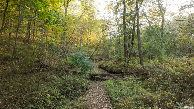 $595,000 | 1402 Knox Highway 7, Knoxville, IL 61448