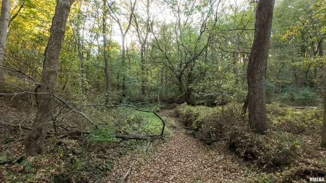 $595,000 | 1402 Knox Highway 7, Knoxville, IL 61448