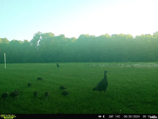 $595,000 | 1402 Knox Highway 7, Knoxville, IL 61448