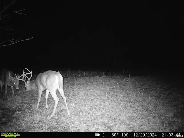 $595,000 | 1402 Knox Highway 7, Knoxville, IL 61448