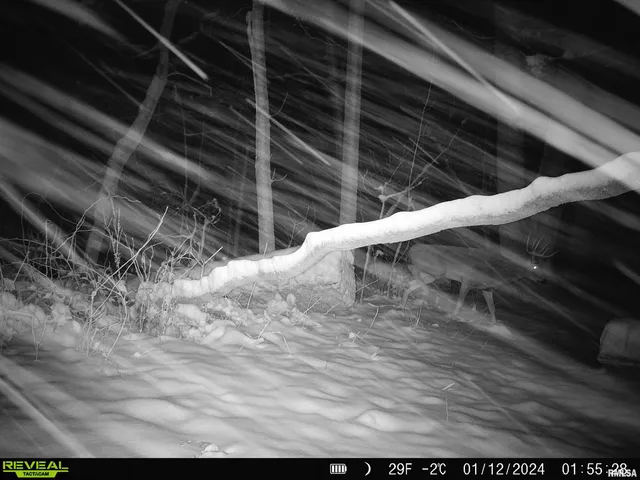 $595,000 | 1402 Knox Highway 7, Knoxville, IL 61448