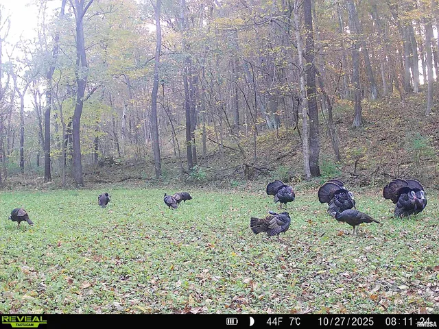 $595,000 | 1402 Knox Highway 7, Knoxville, IL 61448