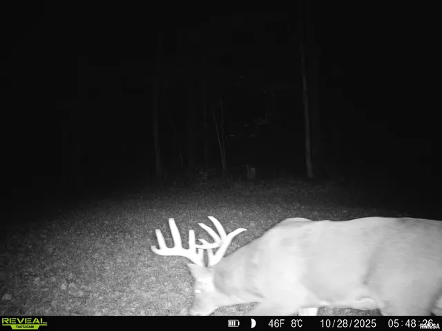 $595,000 | 1402 Knox Highway 7, Knoxville, IL 61448