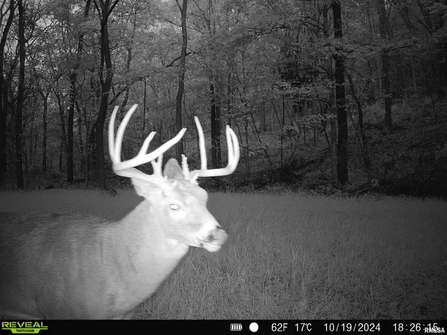 $595,000 | 1402 Knox Highway 7, Knoxville, IL 61448