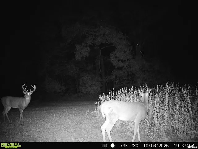 $595,000 | 1402 Knox Highway 7, Knoxville, IL 61448