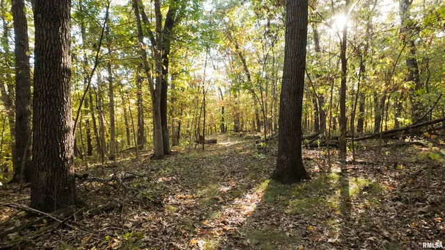 $595,000 | 1402 Knox Highway 7, Knoxville, IL 61448