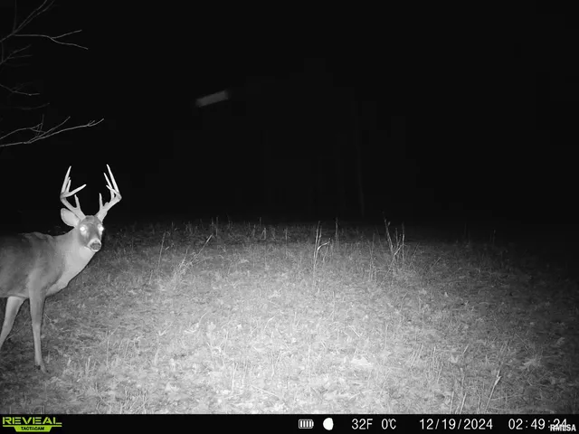 $595,000 | 1402 Knox Highway 7, Knoxville, IL 61448