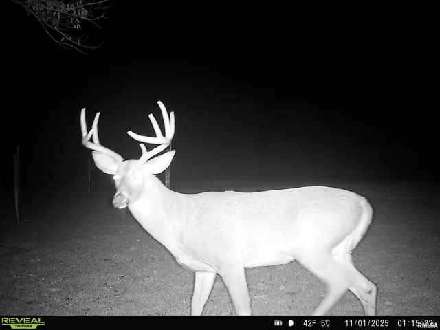 $595,000 | 1402 Knox Highway 7, Knoxville, IL 61448