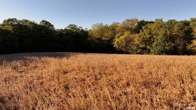 $595,000 | 1402 Knox Highway 7, Knoxville, IL 61448