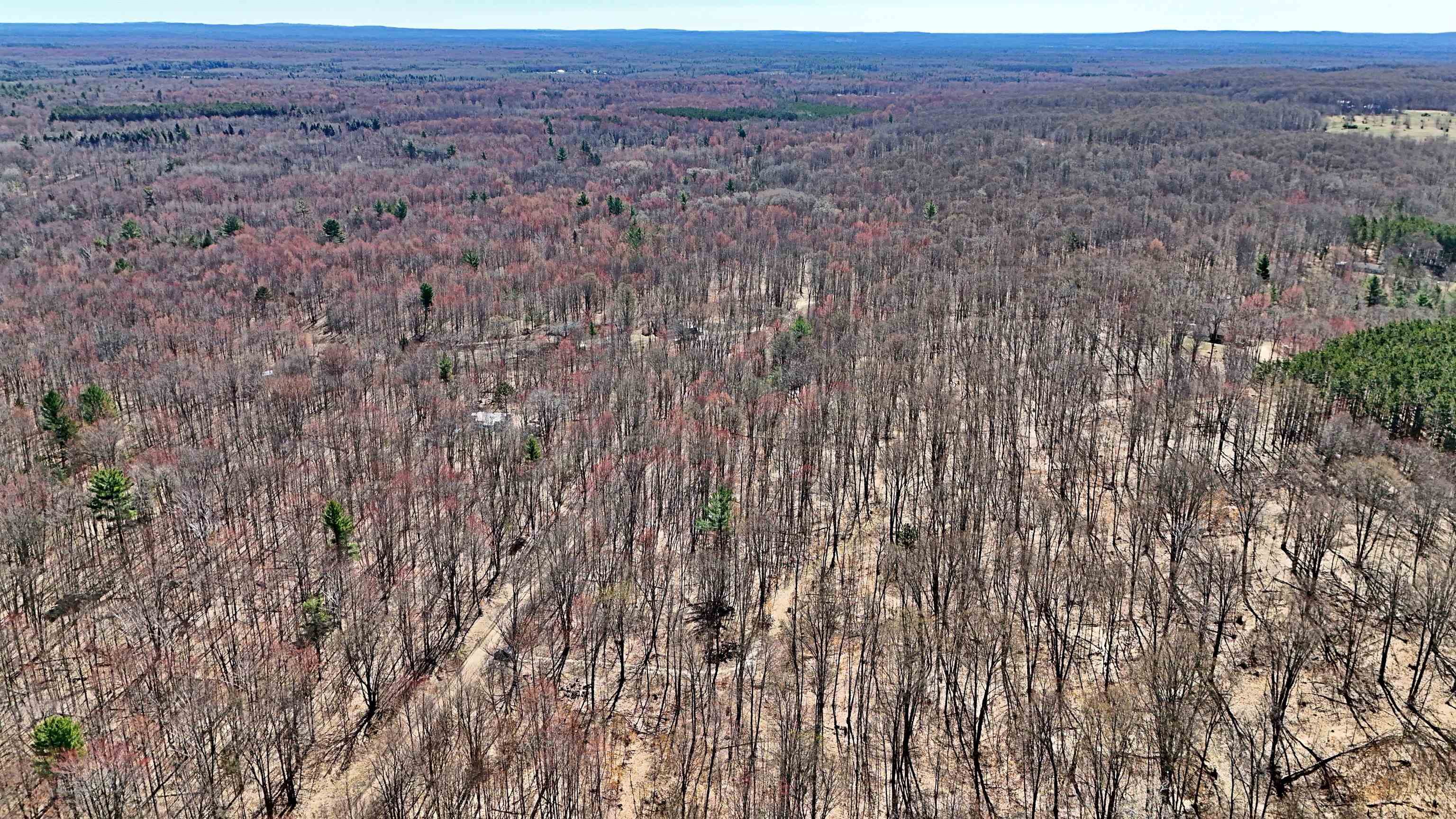 Vl 00 Cherry Hill Road Fife Lake, MI 49633 - Photo 13 of 21