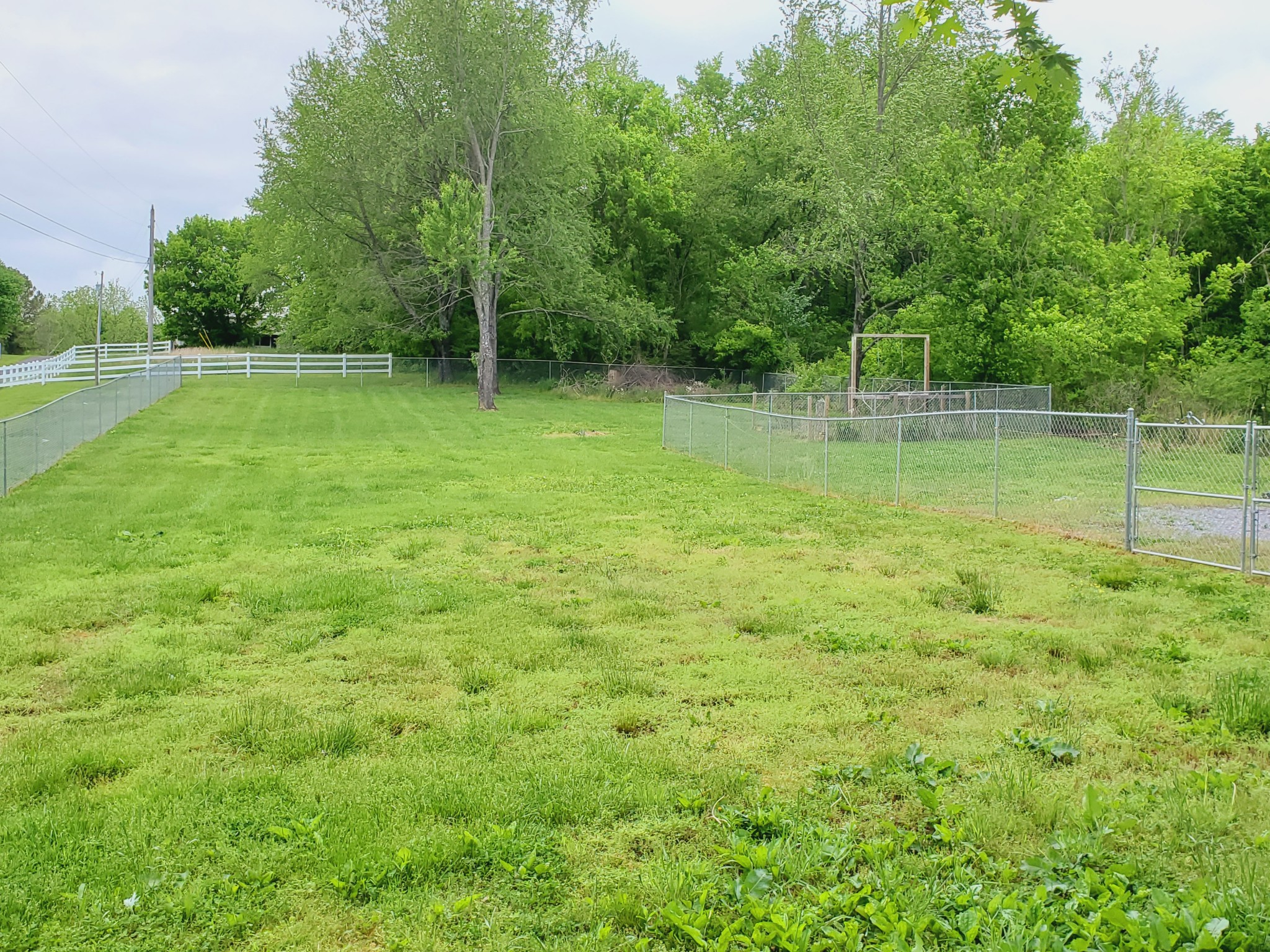 324 West Harper Road Portland, TN 37148 - Photo 24 of 25 a view of a backyard